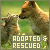 Adopted and rescued animals