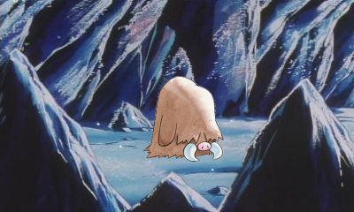 Piloswine in Ice Path